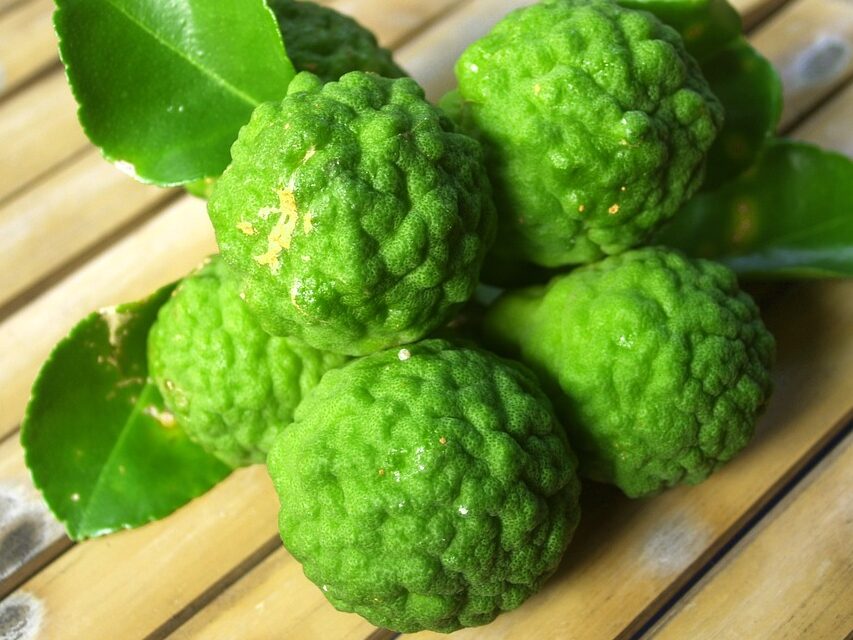 베르가못(bergamot)