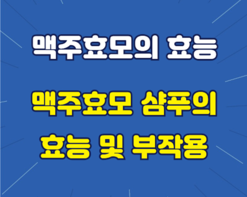 맥주효모의 효능 맥주효모샴푸