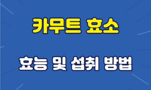 카무트 효소 효능 및 섭취 방법