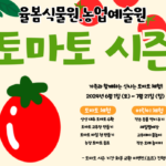 율봄식물원 토마토 시즌 - 토마토축제