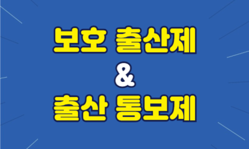 보호출산제 출생통보제